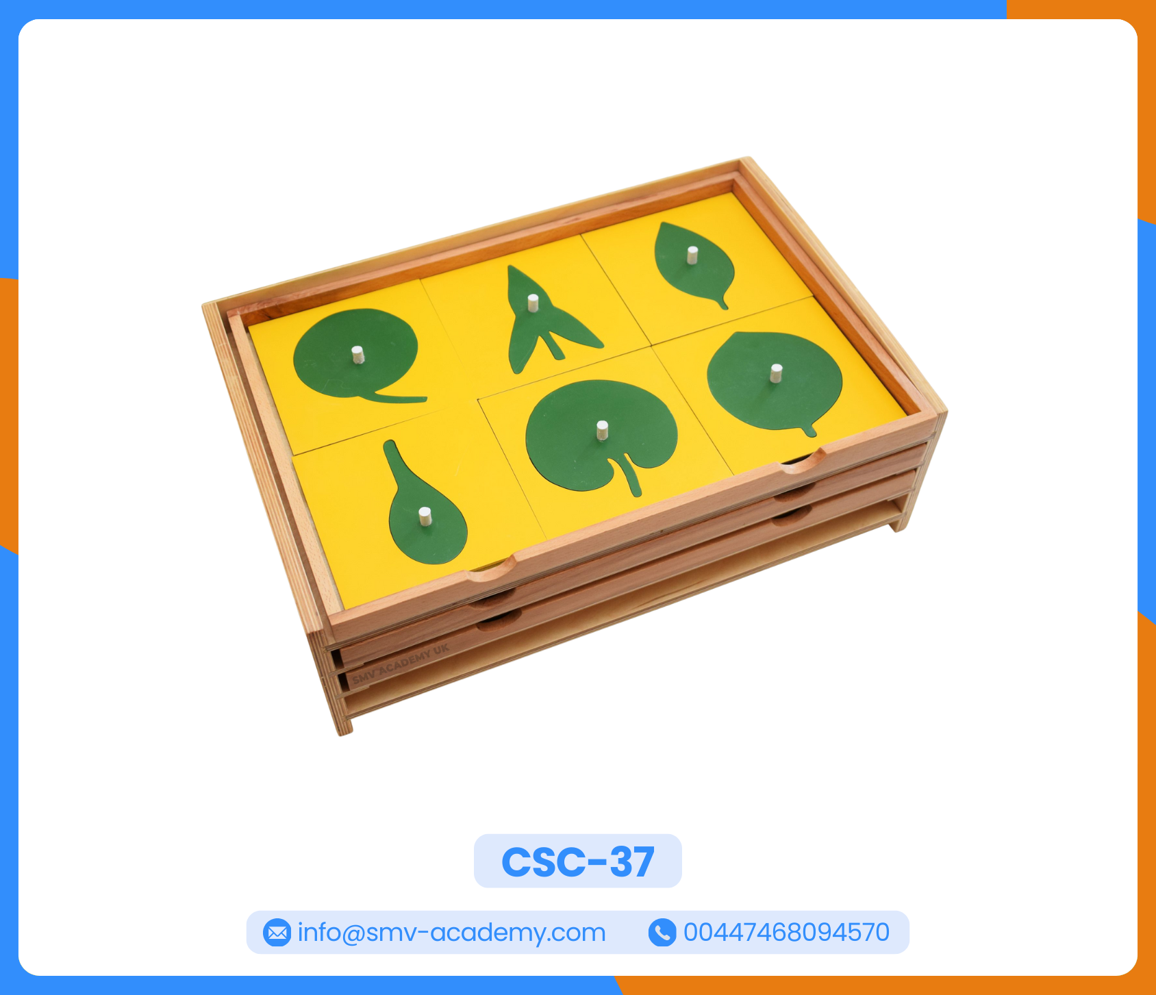 كابينة أوراق النبات | The Botany Cabinet